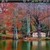 Autumn Season Animated