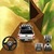 Mountain 4x4 Truck Climb