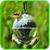 DIY Bird Feeders