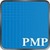 Chris Project Management Professional Study Exam