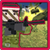 RIMBA Adventure Shooting Games