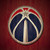 Washington Wizards Fan