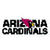 Arizona Cardinals fan