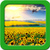 Sunflower Live Wallpapers