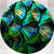 Feather Photo Collage