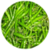 Benefits of Green chillis