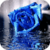 Blue Rose In Rain Live Wallpaper