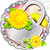 Smart App Lock Dandelion Theme
