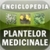Enciclopedia plantelor medicinale