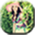 Holly Beauty Wallpaper App
