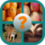 Guess The Picture 2018