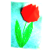 Origami Flower Instruction