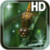 Dragonfly Live Wallpaper HD