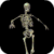 Animated Skeleton LWP