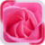 Pink Rose Live Wallpaer