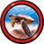 Underwater Live Wallpapers Best