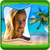 Top Beach Photo Frames