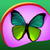 Butterfly Live Wallpapers Latest
