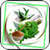 Ayurvedic Medicine Info