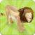 Wild Cats MemoryGame Free
