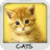 Cats Wallpapers by Nisavac Wallpapers