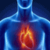 The Heart Disease