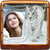 Beautiful Wild Animals Photo Frames