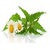Homeopathic App