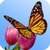3D Butterfly Garden Wallpaper