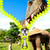 Dinosaur Zipper Lock Screen Best