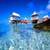 Bermuda Resort Live Wallpaper