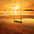 Beautiful Sunsets Live