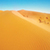 Desert Sand Wallpaper