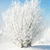 Frozen Bushes Live Wallpaper