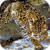 Leopard Hunting Live Wallpaper