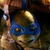 TMNT 2014 Movie Live Wallpaper