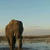 Nature Live Wallpaper 128