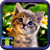 Free Cat Pictures To Download
