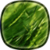 Galaxy S4 Green Leaf LWP HD