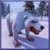 Polar Bear Simulator