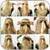 Cool hairstyles
