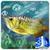 Gold Arowana Live Wallpaper