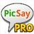 PicSay Pro  Photo Editor base