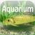 FreshWater Aquarium