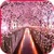 Sakura Live Wallpaper Cherry Blossom Photo Frame