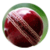 The Cricket Play