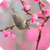 Beautiful Spring Live Wallpaper HD