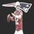 Tom Brady LWP
