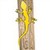 LizardEdge for Beastmaker 2000