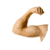 Healthy Elbow
